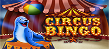 Circus Bingo