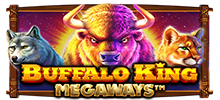 Buffalo King Megaways