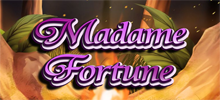 What does your future hold? Of course, it looks prosperous with Madame Fortune the slot game that features 5 reels and a mystical load of game features including Free Spins and a Crystal Ball bonus. Jump on board the Caravan and come on our journey with our Cat, Owl and your hostess, Madame Fortune. The game reels are filled with Gypsy related symbols and with the magical theme and music, what will your Fortune reveal?