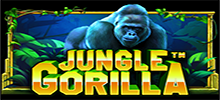 Jungle Gorilla