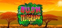 The Bush Telegraph name dates back to history as a method for people to keep in touch over great distances in expansive rural areas such as the Australian Outback. Well-designed cartoon graphics that include animals like wild boar and exotic birds, as well as a colorful game board with bright green bushes and trees, invite you to play and cheer you up for the game ahead. It's perfect for those looking for some quick fun or high rollers. Bonus rounds add to the fun with unique twists and increase your chances of winning big!<br/>
<br/>
Enter this jungle and have fun!