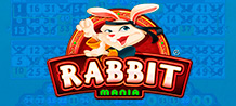 Come meet this ninja rabbit! Improve your martial skills and access many fun bonuses! In this game you have up to 4 cards of 15 numbers to play. What's more, you'll have up to 10 extra balls to increase your prize!<br/>
Good luck!