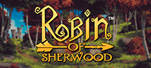 <div>Surprise yourself with this exclusive Slot inspired by the legendary story of the hero Robin Hood. <br/>
</div>
<div>This captivating game will make your mind transport itself to the era of medieval England and begin an endless adventure in the fascinating forest of Sherwood in search of great victories. <br/>
</div>
<div>Do not waste time, join this hooded hero and his Merry Men in this mission and know up to 243 ways to win incredible prizes! </div>